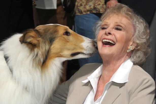 actor june lockhart of lost in space and lassie fame dies aged 100 68fd463d19b22