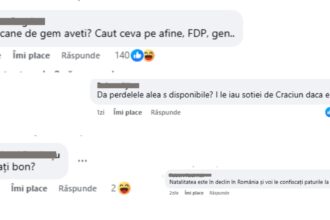 anaf a scos la vanzare un pat de frasin postarea a strans sute de comentarii ironice 68f7569829932