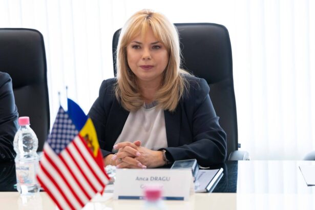 anca dragu vehiculata pentru pozitia de premier al republicii moldova 68efb110b4c94