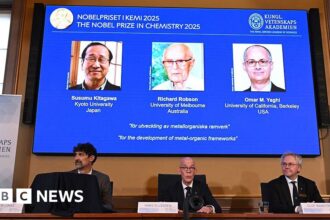 chemistry nobel awarded to three scientists for their work on metal organic frameworks 68e63ef83d078