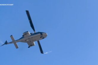 cinci raniti dupa ce un elicopter s a prabusit peste palmierii din fata unui hotel din california 68eb3c2af3689
