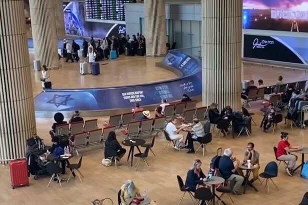 companiile aeriene in contradictie cu comisia si consiliul parlamentul european sustine drepturile pasagerilor aerieni bagaje mari si despagubiri generoase 68ee489b5b280