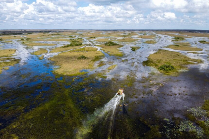 contract that never was adds twist to scientists fight over everglades project 68f62a3ebd656