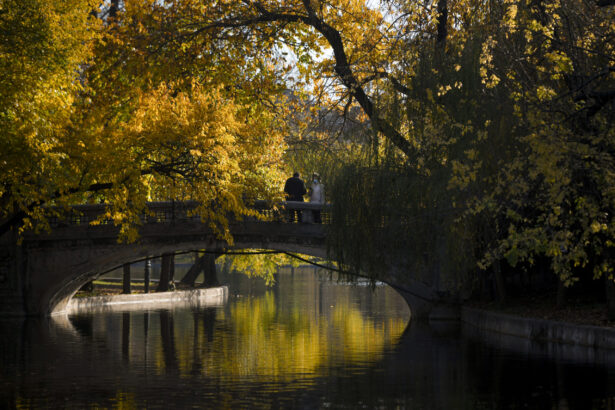 cum va fi vremea in urmatoarele patru saptamani prognoza anm 68edf45e259d5
