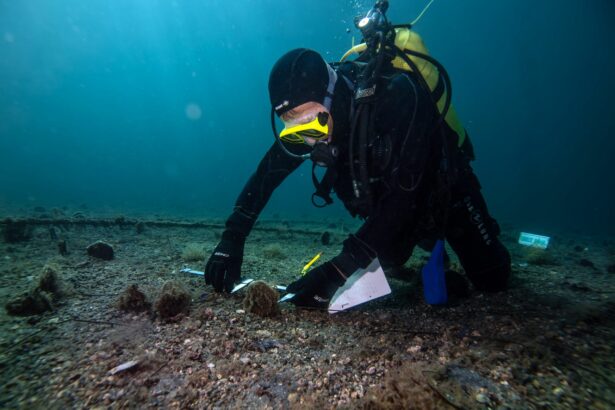 descoperire alarmanta in adancurile apelor din jurul antarcticii 68e8e9cd34dc5