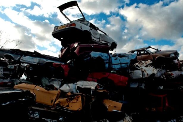 diana buzoianu anunta ca saptamana viitoare va fi facuta publica lista cu beneficiarii voucherelor rabla 68f1b26757ef0