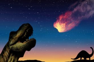 dinosaurs were thriving until asteroid struck research suggests 68fa731d36b84
