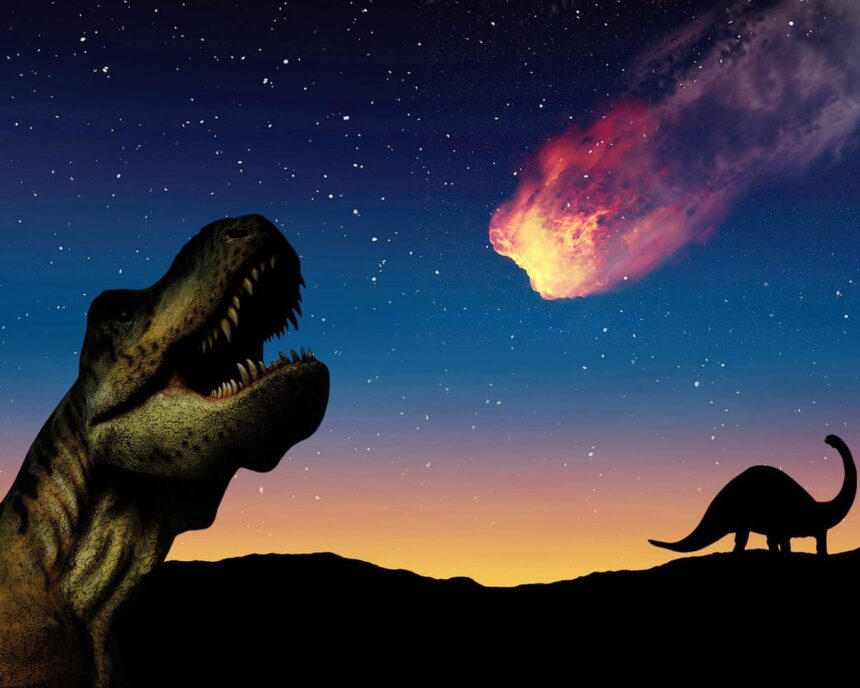 dinosaurs were thriving until asteroid struck research suggests 68fa731d36b84