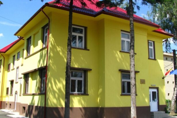 doi parinti din arad acuzati ca si au abuzat copiii ani la rand 68e7a7ce1053e