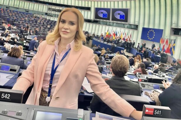 gabriela firea militeaza in parlamentul european pentru accesul larg la case locuintele sunt un drept social nu privilegii sau bunuri 68ef628317ee9