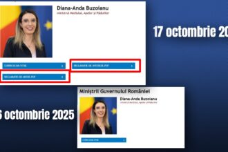 gandul a scris guvernul a reactionat declaratiile de avere si de interese ale dianei buzoianu ministra mediului au fost publicate pe site 68f20ee71dddf