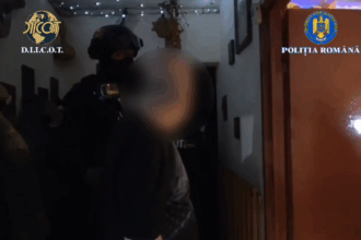 grupare care falsifica acte si documente oficiale destructurata in covasna 68ea69552ae16