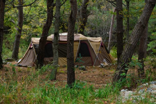 incepe vacanta intersemestriala care este materia la care elevii trebuie sa aiba nota in mod obligatoriu 68f5db0589f2d
