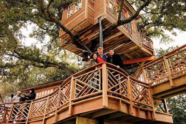 inside a billionaires 400000 treehouse 68ebad7c83d14