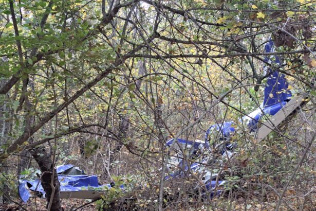 milionarul sucevean ioan pavel victima accidentului aviatic de la bacani planuia sa construiasca blocuri de 25 de etaje in suceava 68fb245cb4afd