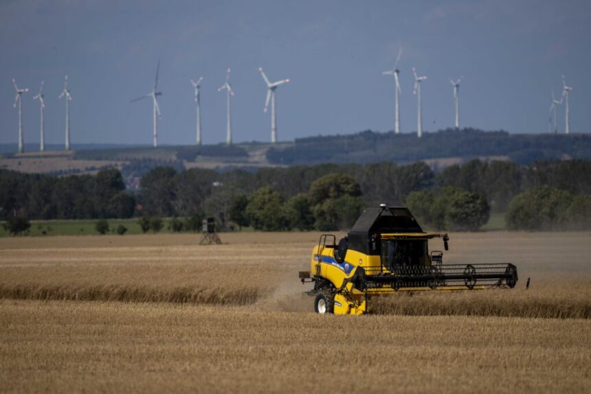 ministrul agriculturii florin barbu conditii simplificate de acordare a ajutorului financiar pentru producatorii de legume in spatii protejate 68e7885ed28e1