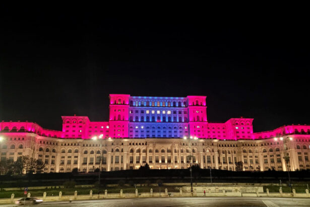 palatul parlamentului va fi iluminat in roz si bleu de ziua parintilor de ingeri 68ef65906a3b1