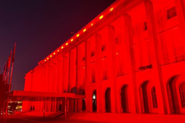 palatul victoria iluminat in culorile roz si bleu cu ocazia zilei parintilor de ingeri 68efc44e71e3c