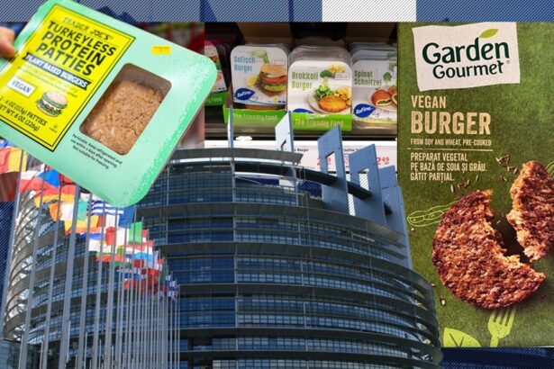 parlamentul european a votat interzicerea denumirilor de friptura hamburger sau carnati pentru produsele vegetariene 68e6755c0a675