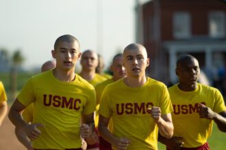 pentagon criticises netflix for making woke garbage after gay military drama 68f2a18fd16a7