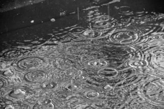 prefectul capitalei despre programul scolilor in contextul codului rosu de ploi analizam varianta sistemului hibrid pentru zilele cu vreme severa 68e4e8ad01c21