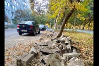 primaria sectorului 3 a fost amendata de garda de mediu pentru lucrari fara avize in parcul ior 68fa08fae6e68