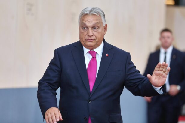 reactia lui viktor orban la anuntul viitoarei intalniri trump putin de la budapesta suntem pregatiti 68f142ff9b498