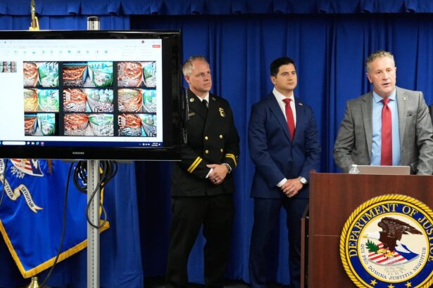 reckless behavior and dystopian ai disturbing picture of suspect in pacific palisades fire emerges 68ea561c8a228