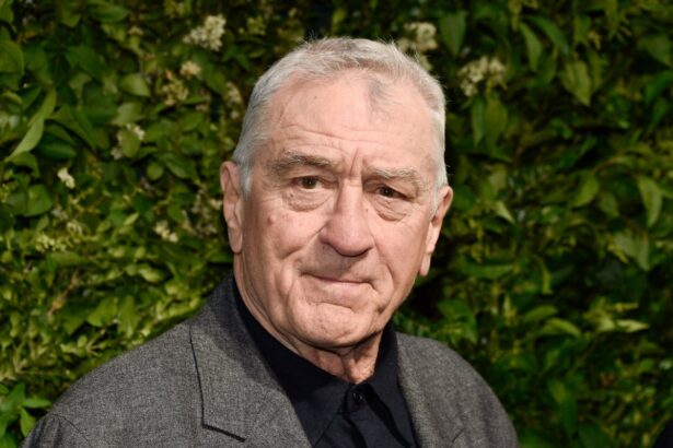 robert de niro on donald trump you have to fight theres no other way to face a bully 68f626bfec9b0