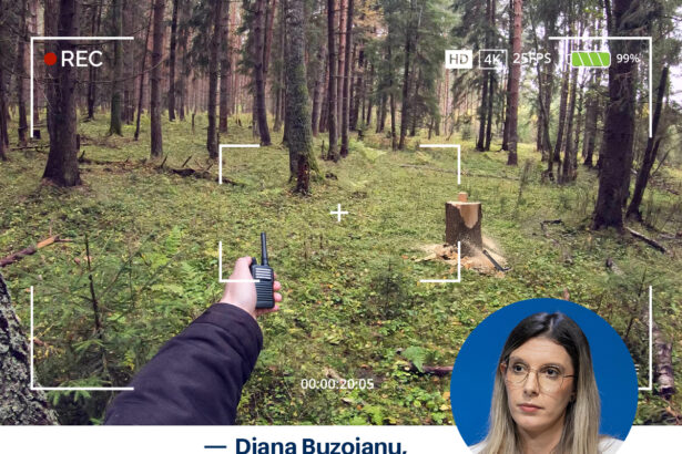 senatorii au adoptat in unanimitate legea care ii apara pe padurari imaginile de pe bodycam vor putea fi folosite in instanta 68ee2bf97d40c