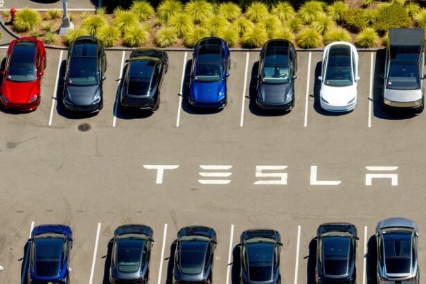 tesla reports steep drop in profits despite us rush to buy electric vehicles 68f96dde6f3bd