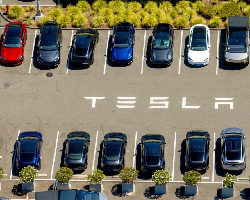tesla reports steep drop in profits despite us rush to buy electric vehicles 68f96dde6f3bd