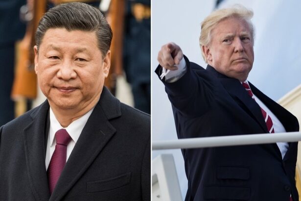 trump ii ofera lui xi perspectiva unei vizite la mar a lago 68ff6e8be4382