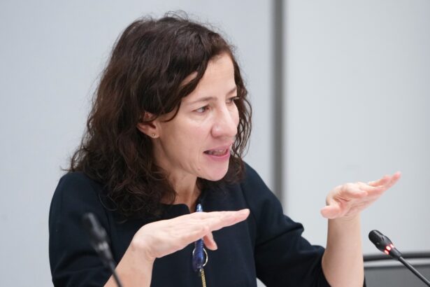 ue vrea sa crestem salariul minim pentru cei ce muncesc roxana minzatu felicit romania pentru transpunerea directivei in legislatia nationala 68fb2518dae99