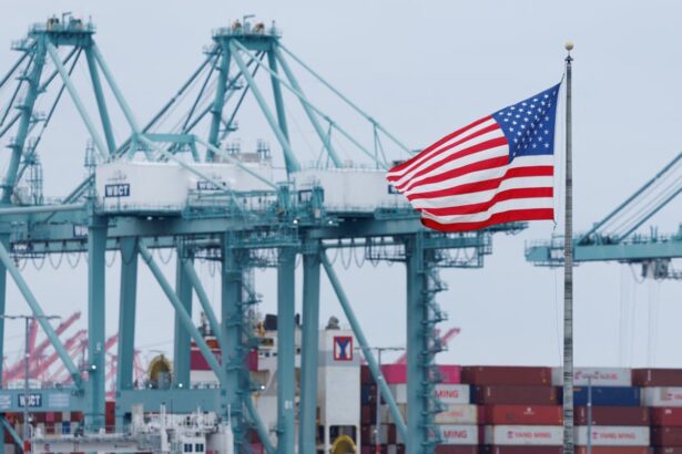 world economy resilient amid trump tariffs but outlook looks dim says imf 68ee67d0aa371