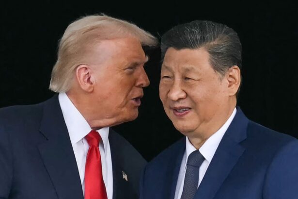 xi trump meeting america has discovered that bullies can be bullied back 690399ad771d1