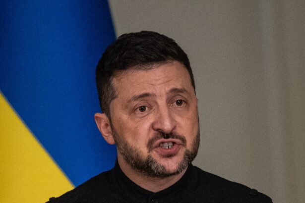 zelenskyy urges trump to use gaza ceasefire momentum to broker peace in ukraine 68ea7f2b68a5a