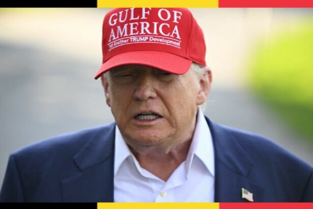 a aparut partidul trump in belgia noua formatiune politica de dreapta vrea sa se afirme la alegerile europarlamentare din 2029 69136cb03a901