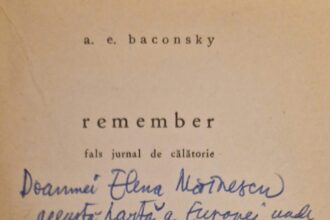 a e baconsky 100 692951bf63861