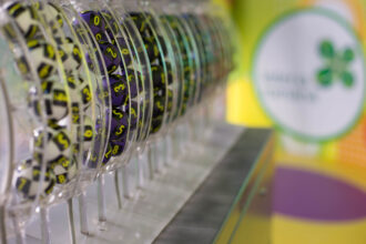 a fost castigat marele premiu la loto 6 49 in valoare de 966 milioane de euro numerele castigatoare 6910e2f4634e9