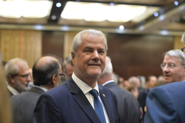 adrian nastase participa la congresul psd un partid care vorbeste despre o romanie respectata in europa si in lume 690b2aa5b14d1