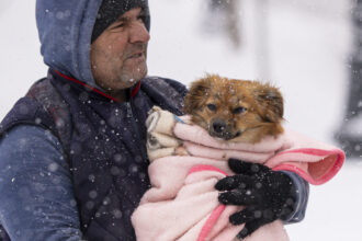 anm a emis cod galben de vant in trei judete rafale de pana la 120 km h in zona montana 69215573938dd