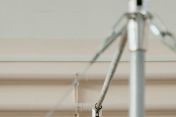 antrenoare romana de gimnastica condamnata in franta pentru violente asupra minorilor 69171897f246d