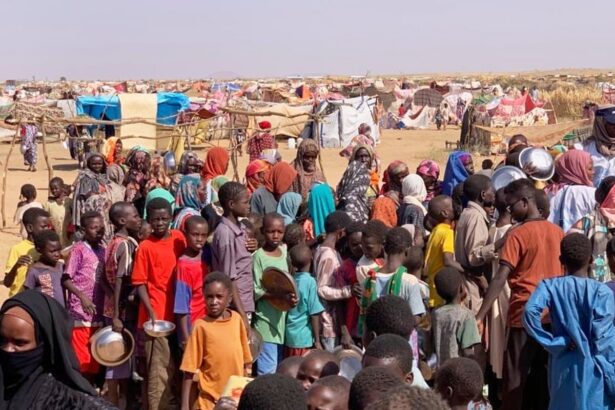 at least 36000 sudanese have fled since fall of el fasher to rsf says un agency 6908be1543615