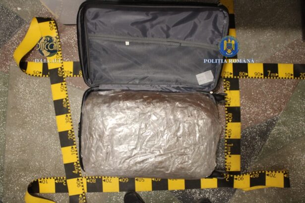 captura mare de cabanis in botosani 31 de kilograme de droguri duse in trei trolere 69246446d83ee