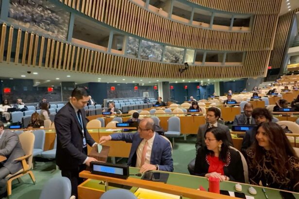 cine este noul judecator al romaniei in tribunalul onu magistratul a fost declarat castigator cu 109 voturi 691d744c48433