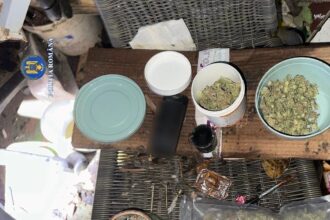 cocaina si amfetamina pentru cluburi cu muzica electronica din iasi dealerii unul dintre ei dj au fost arestati 691b507eda9e8