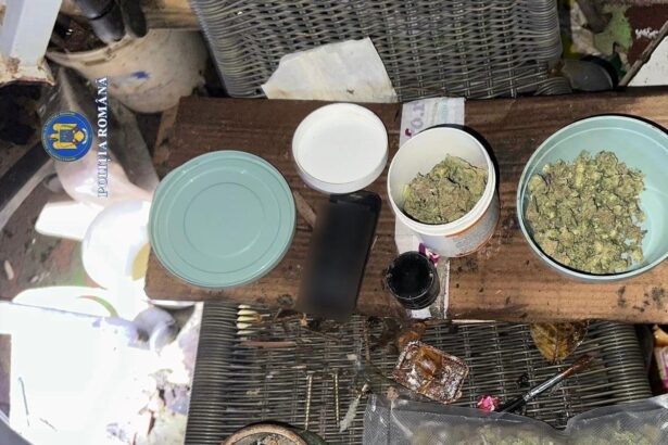 cocaina si amfetamina pentru cluburi cu muzica electronica din iasi dealerii unul dintre ei dj au fost arestati 691b507eda9e8