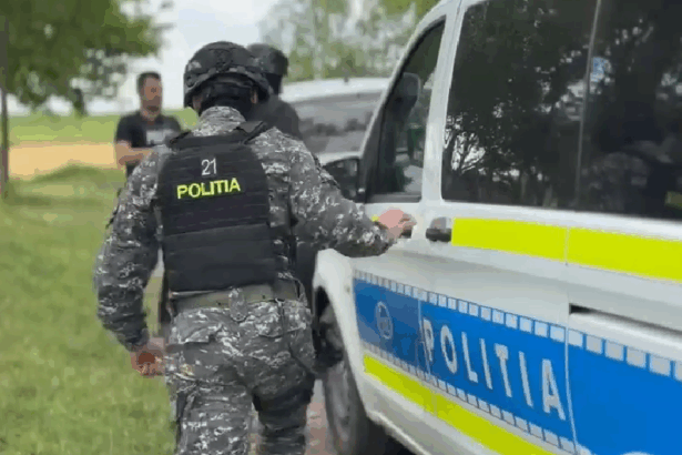 crima la o ferma de vaci din botosani suspectul a fost dus la politie 6922e2be44580