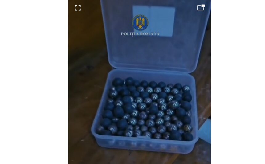 cruzime un constantean confectiona capcane cu cuie pentru pisici si le ranea video 6912d62a713c0